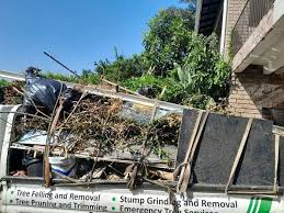 Best Hoarding Cleanup  in Cloquet, MN